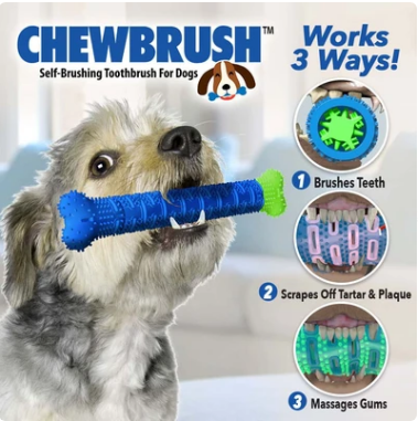 dog products