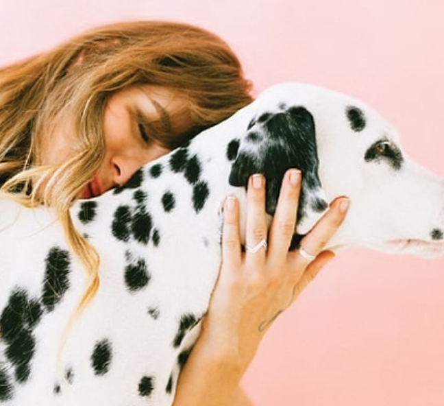 pet care product