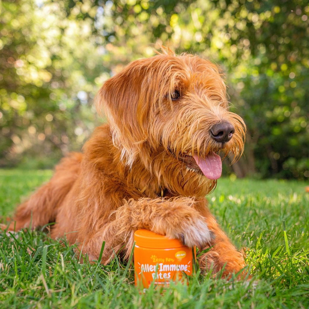 Dog Supplements