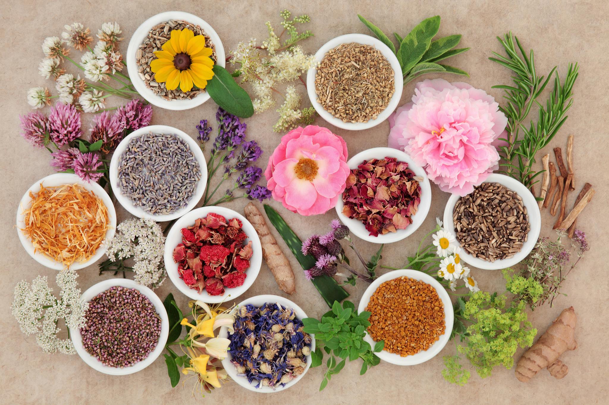 store for multi vitamins