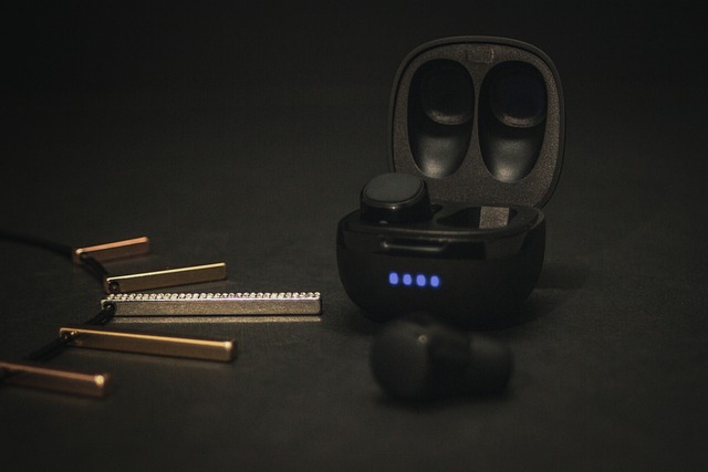 earphones