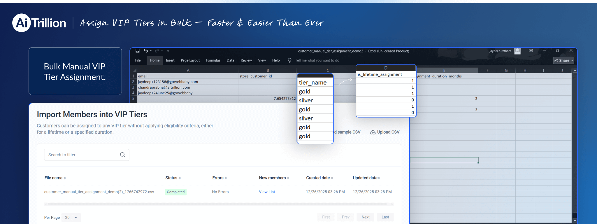 Assign VIP Tiers in Bulk — Faster & Easier Than Ever
